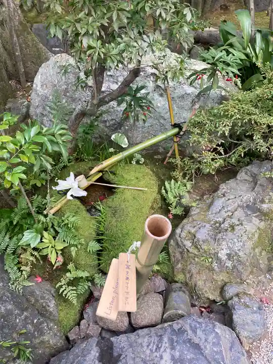 退蔵院(京都府)