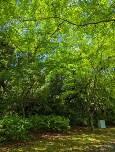 向日神社(京都府)
