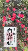 荻窪白山神社の御朱印