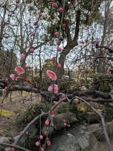 城南宮(京都府)