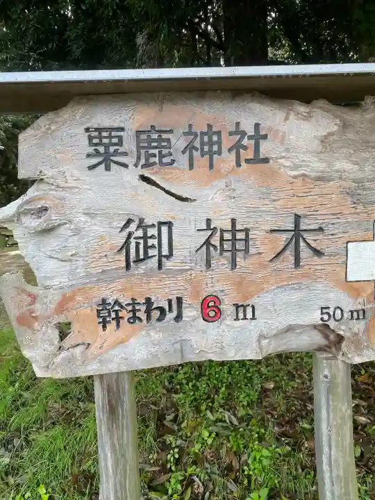粟鹿神社(兵庫県)