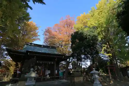 熊野福藏神社の本殿・本堂