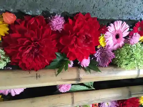 札幌護國神社の手水舎