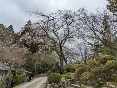 正法寺(京都府)