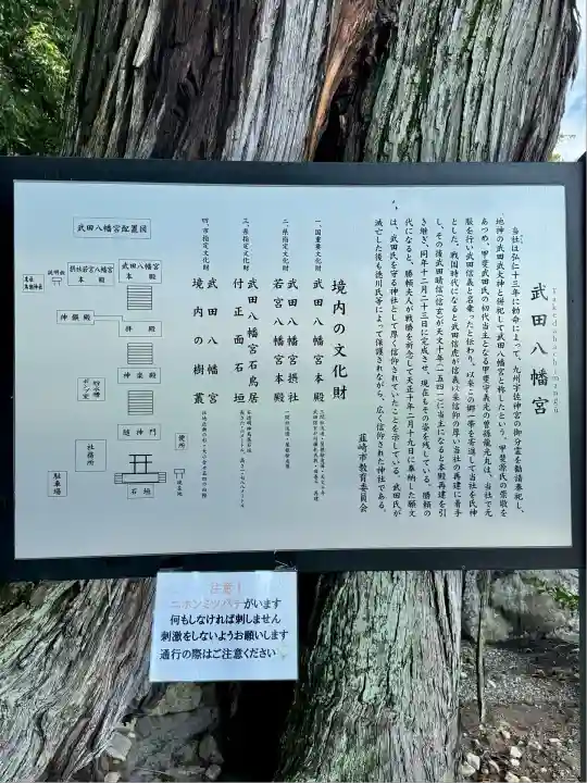 武田八幡宮(山梨県)