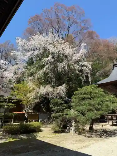 田村大元神社の{uncategorized: "未分類", other: "その他", undefined: "問題あり", building: "その他建物", grave: "お墓", sacred_gate: "鳥居", guardian: "狛犬", statue: "像", buddha: "仏像", history: "歴史", nature: "自然", garden: "庭園", animal: "動物", pagoda: "塔", temizu: "手水舎", mountain_gate: "山門・神門", sanctuary: "本殿・本堂", subordinate: "末社・摂社", art: "芸術", scenery: "景色", jizo: "地蔵", ema: "絵馬", goshuin: "御朱印", omikuji: "おみくじ", items: "授与品その他", amulet: "お守り", goshuincho: "御朱印帳", eats: "食事", festival: "お祭り", votive_dance: "神楽", shichigosan: "七五三参", wedding: "結婚式", experience: "体験その他", initially: "初詣", around: "周辺", anti_infection: "感染症対策"}