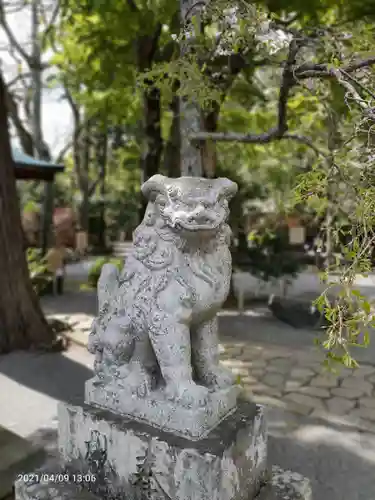 伊豆山神社の狛犬