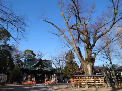 上野総社神社の本殿