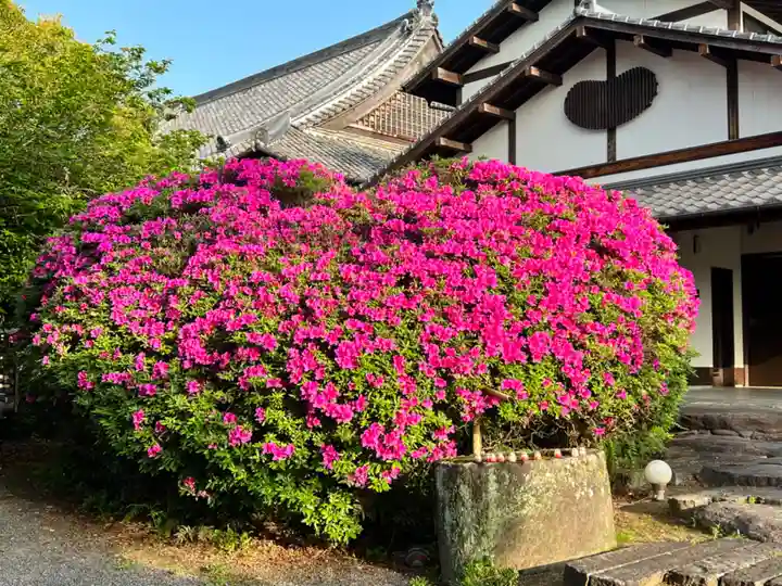 大本山誕生院 (佐賀県)