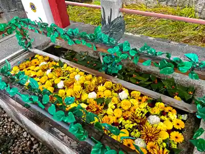 津島神社の手水舎