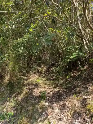 八坂神社の周辺