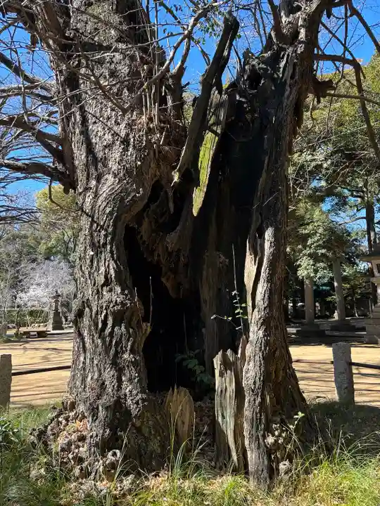 赤坂氷川神社(東京都)
