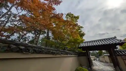 芳春院(京都府)