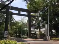 愛知縣護國神社の鳥居