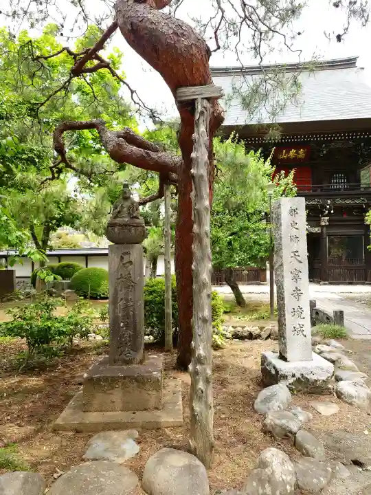 天寧寺(東京都)