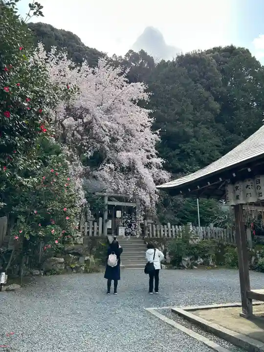 大豊神社(京都府)