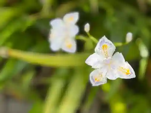 西方山極楽寺(岐阜県)