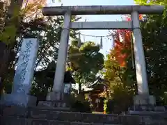 産千代稲荷神社の鳥居