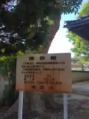 大歳神社(兵庫県)