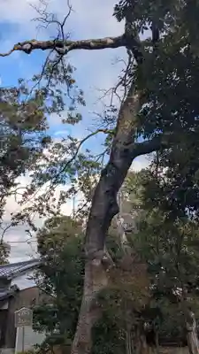旦椋神社(京都府)