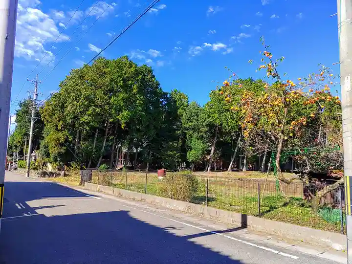 比良賀神社の自然