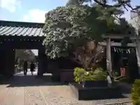 長喜院の山門・神門