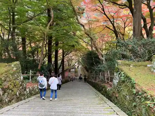 鰐淵寺(島根県)