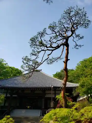 妙法寺の本殿・本堂