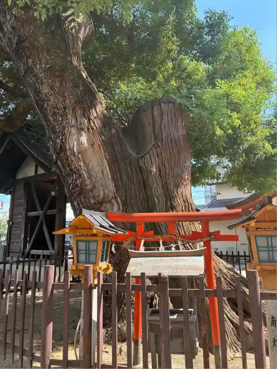 阿遅速雄神社(大阪府)
