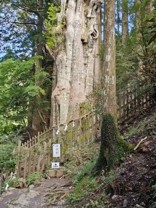 玉置神社(奈良県)