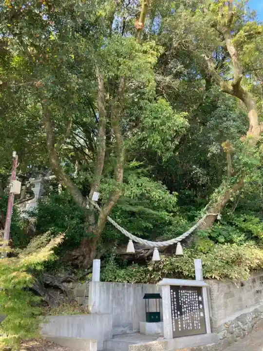 福良八幡神社(兵庫県)