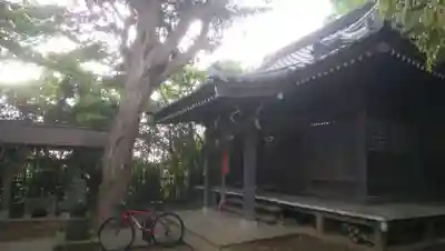 日枝神社の本殿・本堂