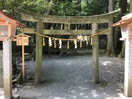 椿大神社の鳥居