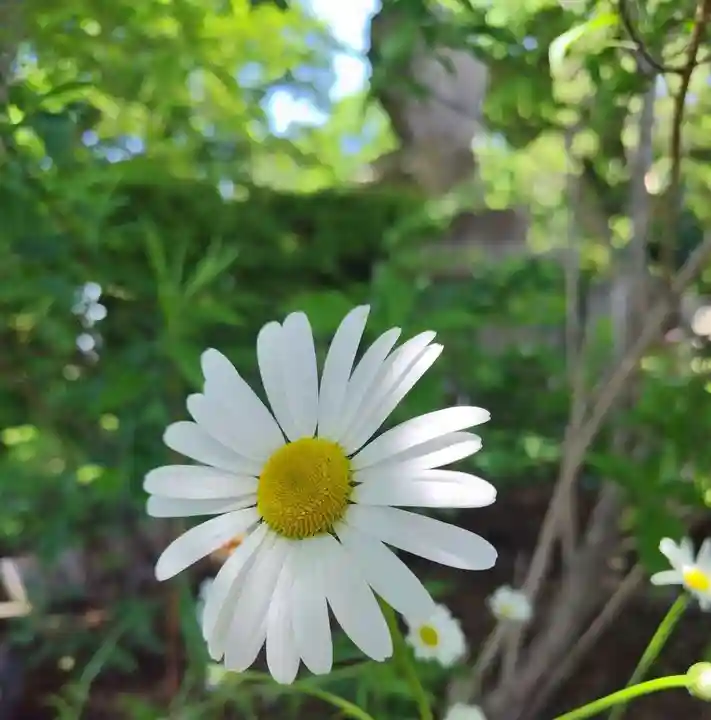 厚別神社(北海道)