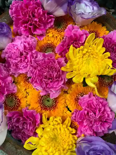 彌都加伎神社の手水舎