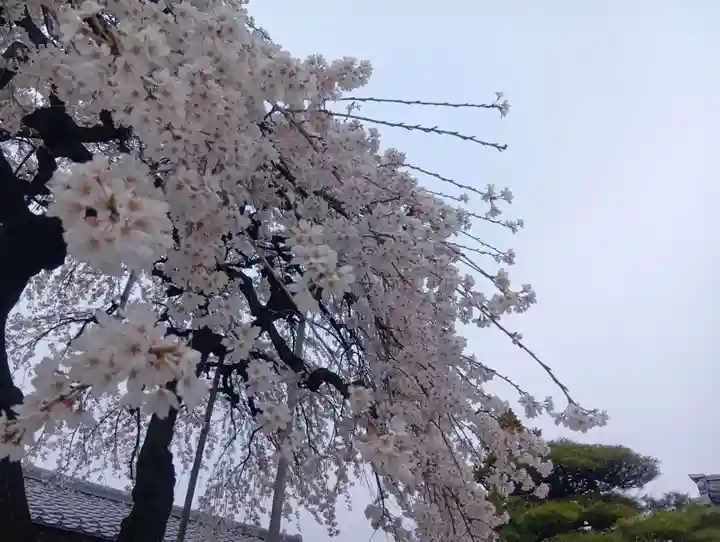 寛立院(曼陀羅寺塔頭)(愛知県)