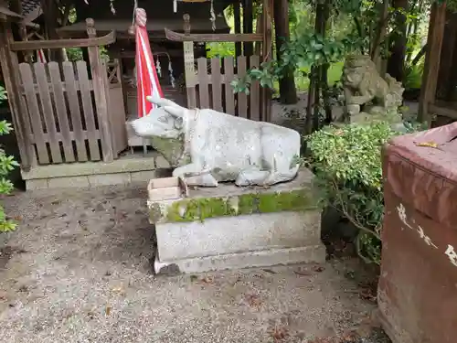 老杉神社の狛犬