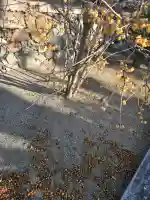 浄誓寺の{uncategorized: "未分類", other: "その他", undefined: "問題あり", building: "その他建物", grave: "お墓", sacred_gate: "鳥居", guardian: "狛犬", statue: "像", buddha: "仏像", history: "歴史", nature: "自然", garden: "庭園", animal: "動物", pagoda: "塔", temizu: "手水舎", mountain_gate: "山門・神門", sanctuary: "本殿・本堂", subordinate: "末社・摂社", art: "芸術", scenery: "景色", jizo: "地蔵", ema: "絵馬", goshuin: "御朱印", omikuji: "おみくじ", items: "授与品その他", amulet: "お守り", goshuincho: "御朱印帳", eats: "食事", festival: "お祭り", votive_dance: "神楽", shichigosan: "七五三参", wedding: "結婚式", experience: "体験その他", initially: "初詣", around: "周辺", anti_infection: "感染症対策"}