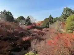 東福禅寺（東福寺）(京都府)