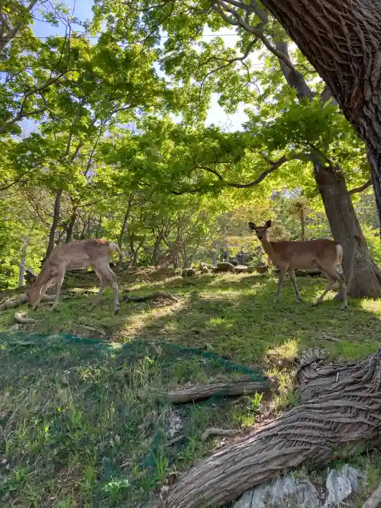 北門神社(北海道)