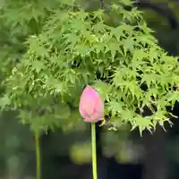 伊勢の国 四天王寺(三重県)