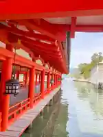 厳島神社(広島県)