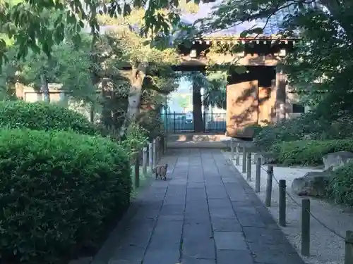 中院の山門・神門