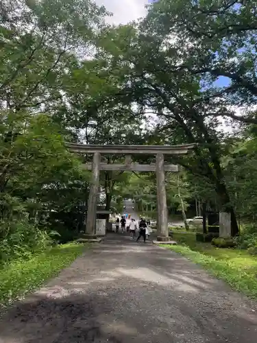 戸隠神社奥社の鳥居