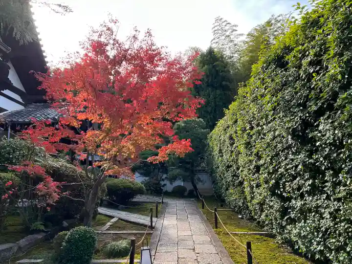 芬陀院(京都府)