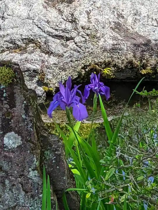 三室戸寺(京都府)