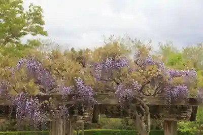 滑川神社 - 仕事と子どもの守り神の周辺
