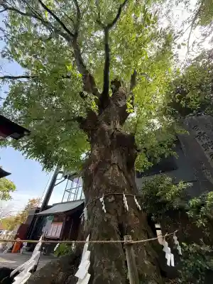 山名八幡宮(群馬県)