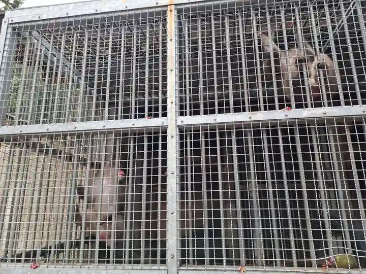 日吉大社(滋賀県)