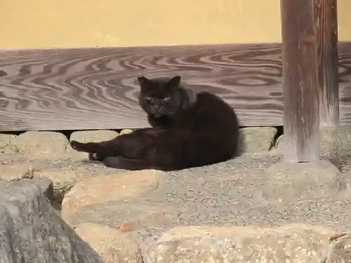 宗林寺(大阪府)